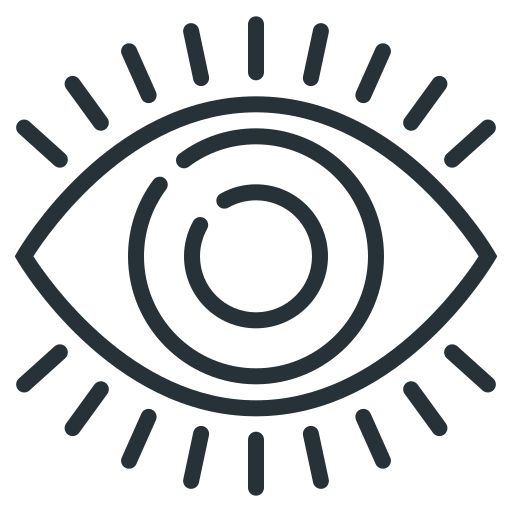 OUR VISION